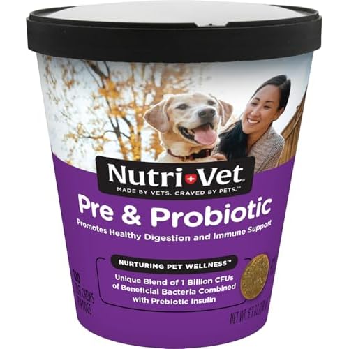 Nutri-Vet Pre and Probiotic Soft Chews for Dogs | Digestive Health Support | Tasty Alternative to Probiotic Powder | 120 Soft Chews