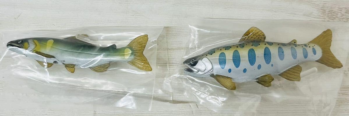 Amazon.co.jp: YUjIN 原色図鑑シリーズ21 原色淡水魚図鑑Ⅰ『改訂版