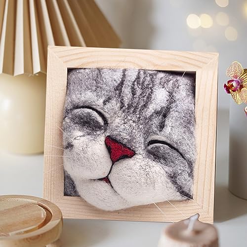 Quincry Needle Felting Kits for Beginners,Cat Head Photo Frame Ornaments Knitting Kit - Lovely Cat Decor & Wool Felt Cat Plush Toy Kit for DIY Handcraft Project for Christmas & Birthday Gifts (C)
