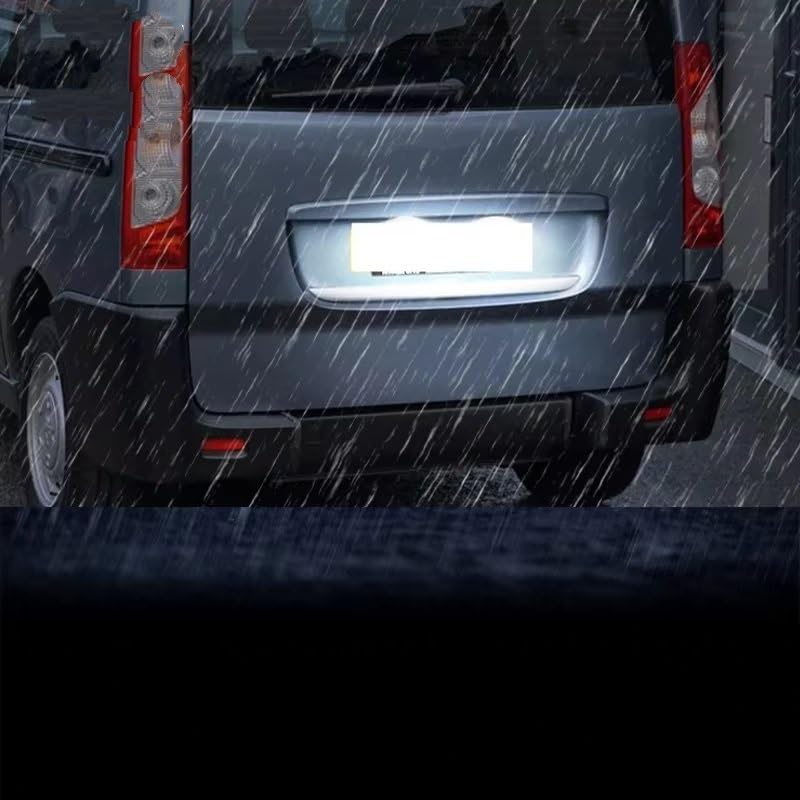 Luces matrícula para Citroën Berlingo II idóneas para renovar ópticas opacas 7