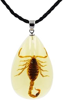 Real Scorpion Necklace, Real Scorpion Pendant Necklace