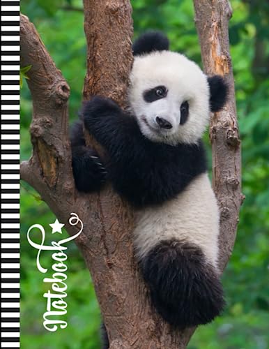 Panda Bear Notebook: Large 8.5x11 Composition Journal / 100 Sheets (200 Pages) / College Ruled Diary - Blank Numbered Pages / Animal Photo Cover ... Taking Gift For Home-School - Work - Writing