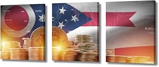 Bathroom Wall Decor American Ohio State Flag Wall Painting Crypto Currency Wall Art for Living Room Golden Bitcoin Coins and Trading Platform Chart Wall Pictures Framed Ready to Hang (12x16 inch x3)