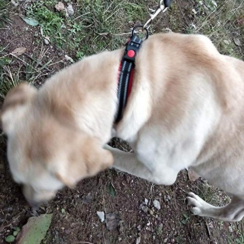 Collier chien nylon reflechissant grand format mailles souples - 8