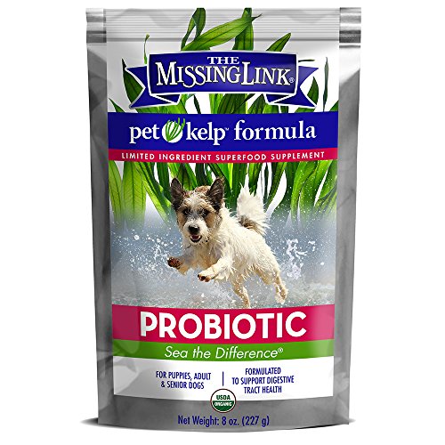 Best Kelp For Dogs Organic
