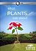 Nature: What Plants Talk About