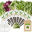 Green Goddess Salad-7
