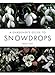A Gardener's Guide to Snowdrops