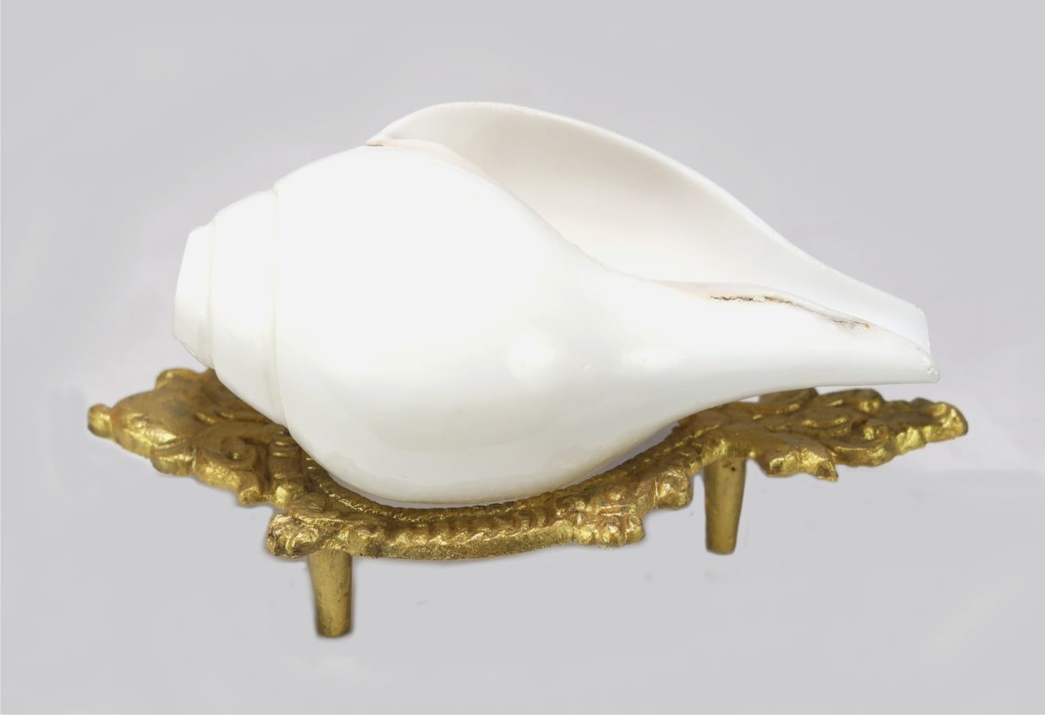 ASHIRWAD Shankh-Ständer aus Messing, geschnitzt, Valampuri, Sangu, Shankha, Dakshinavarti, Vamavarti, Metall, 15,2 cm