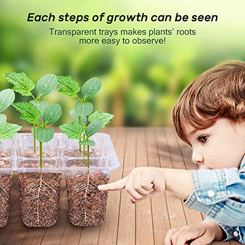 5-Pack-Seed-Starter-Tray-Seedling-Starter-Kits-Plant-Starter-Kit-with-Humidity-Domes-and-Base-Indoor-Greenhouse-Mini-Propagator-Station-for-Seeds-Growing-Starting-12-Cells-per-Tray-Green 5-Pack-Seed-Starter-Tray-Seedling-Starter-Kits-Plant-Starter-Kit-with-Humidity-Domes-and-Base-Indoor-Greenhouse-Mini-Propagator-Station-for-Seeds-Growing-Starting-12-Cells-per-Tray-Green