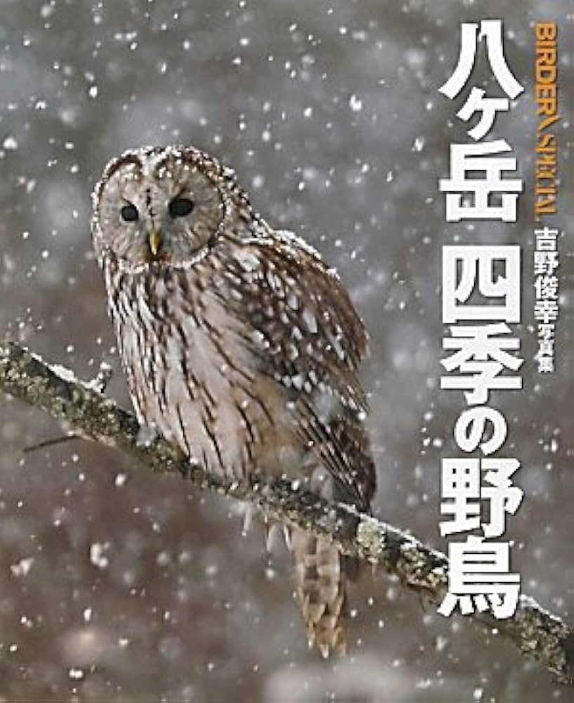 吉野晁生（よしのあさお）さんの原画　 タイトル「八ヶ岳」 吉野晁生（よしのあさお）さんの原画 タイトル「八ヶ岳」