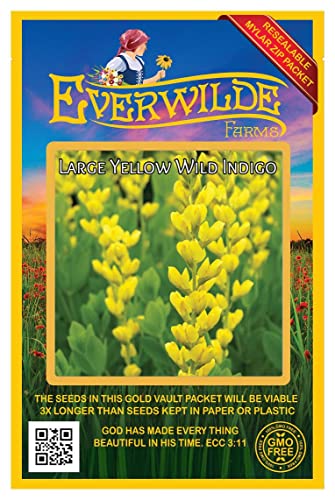 Everwilde Farms - 10 Large Yellow Wild Indigo Native Wildflower Seeds - Gold Vault Seed Packet Everwilde Farms - 10 Large Yellow Wild Indigo Native Wildflower Seeds - Gold Vault Seed Packet