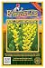 Everwilde Farms - 10 Large Yellow Wild Indigo Native Wildflower Seeds - Gold Vault Jumbo Seed Packet