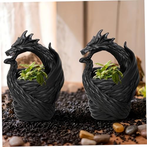Pots succulentes design dragon idée cadeau déco originale - 8