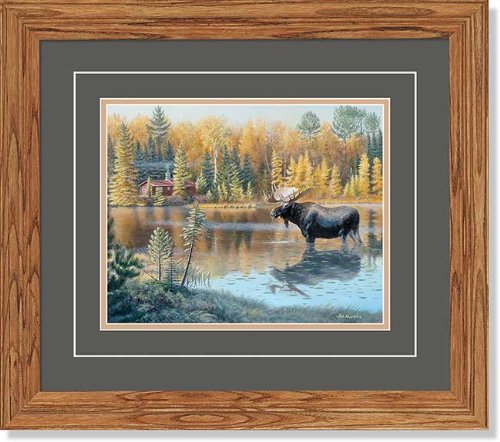 Wild Wings The Loner - Moose GNA Deluxe Framed Print by Jim Kasper