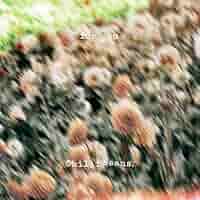 Chilli Beans.  for you サイン付きCD Amazon.co.jp: for you(CD) - Chilli Beans.: ミュージック