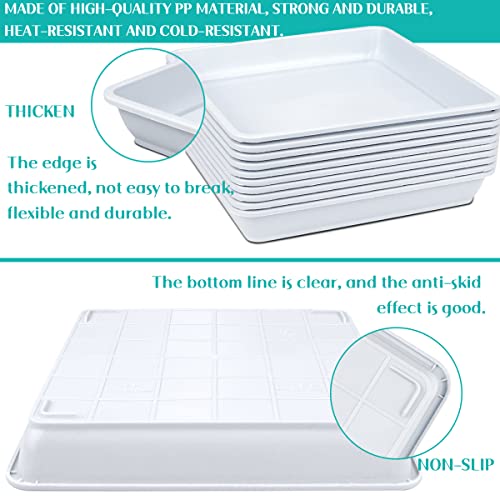 Lnq Luniqi 10 Pcs 6 Inches Square Plastic Plant Saucer Flower Pot Bottom Seat Flower Pot Tray Thick Plastic Drip Tray For Garden Potted Water Drips And Soil （White） #TOP3