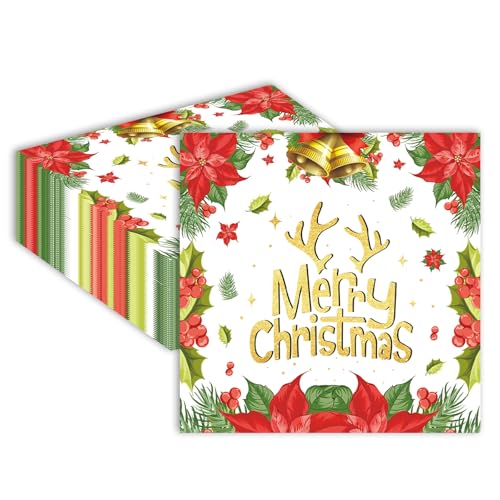 40 Pack Floral Christmas Napkins Disposable - 13x13 Inch unfolded Square Christmas Paper Napkins for Holiday Table Decor, Party Supplies and Dinner Decorations (6.5x6.5 Inch Folded)