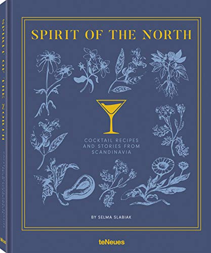Télécharger Spirit of the north livre En ligne