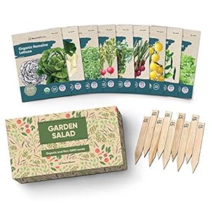 Certified Organic Vegetable Seeds – 9 Heirloom Seeds for Planting Vegetables – Seed Packets & Gift Box – Cherry Tomato, Romaine Lettuce, Broccoli, Cucumber, Radish, Sugar Snap Pea, Arugula, Basil