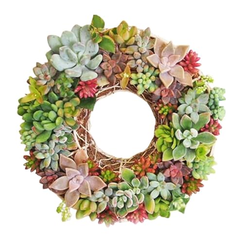 多肉 寄せ植え サークルハンキング 植物 アレンジ 丸型リース 植物 インテリア ガーデン