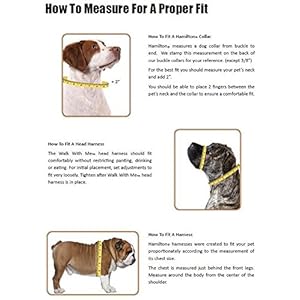 Hamilton Thick Nylon Deluxe Dog Collar 1inch by 24inch Double Red Cucciolini Doodles Hamilton thick nylon deluxe dog collar 1 inch by 24 inch double red cucciolini doodles