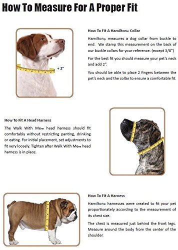 Hamilton Thick Nylon Deluxe Dog Collar 1inch by 24inch Double Red Cucciolini Doodles Hamilton thick nylon deluxe dog collar 1 inch by 24 inch double red cucciolini doodles