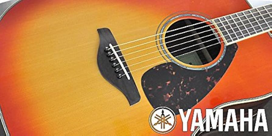 Amazon.co.jp: YAMAHA ヤマハ アコースティックギター FG830