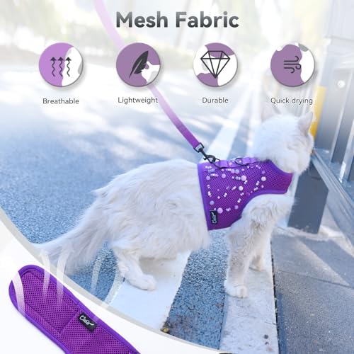 Image of Cat Harness and Leash for Walking Escape Proof Breathable Mesh Fabric, Purple, Medium, Adjustable Cat Walking Jackets, Padded Stylish Cat Vest