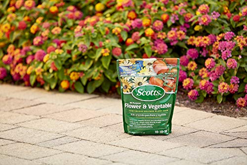 Scotts-All-Purpose-Flower-Vegetable-Continuous-Release-Plant-Food-3-lb