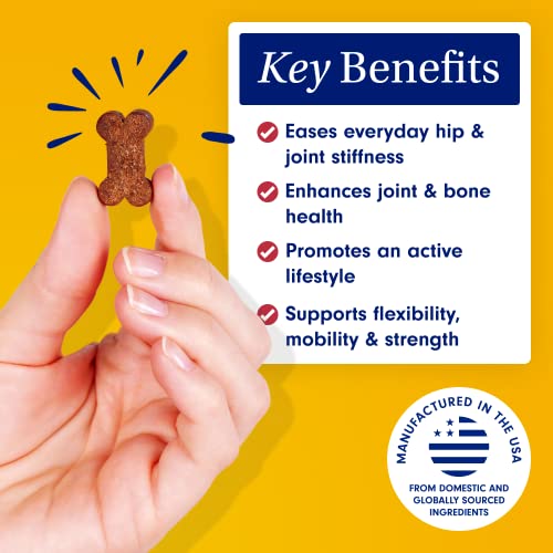 Petlab Co. Joint Care Chews - High Levels Of Glucosamine For Dogs, Green Lipped Mussels, Omega 3 And Turmeric - Dog Hip And Joint Supplement To Actively Support Mobility - Packaging May Vary #TOP2