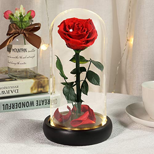 Mom Gifts For Her, Beauty And The Beast Rose, Mothers Day Flower Rose Gift, A Gift For Grandmother And Grandmother, Birthday Gifts, Silk Rose With Led Lights, Gifts For Couples Unique #TOP3