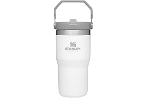 STANLEY IceFlow Multicolor Stainless Steel Tumbler