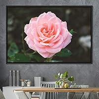 Framed Canvas Wall Art Rose Bohemian Dark Dramatic Floral Multicolor Petal Photography Portrait - 16x24 inches