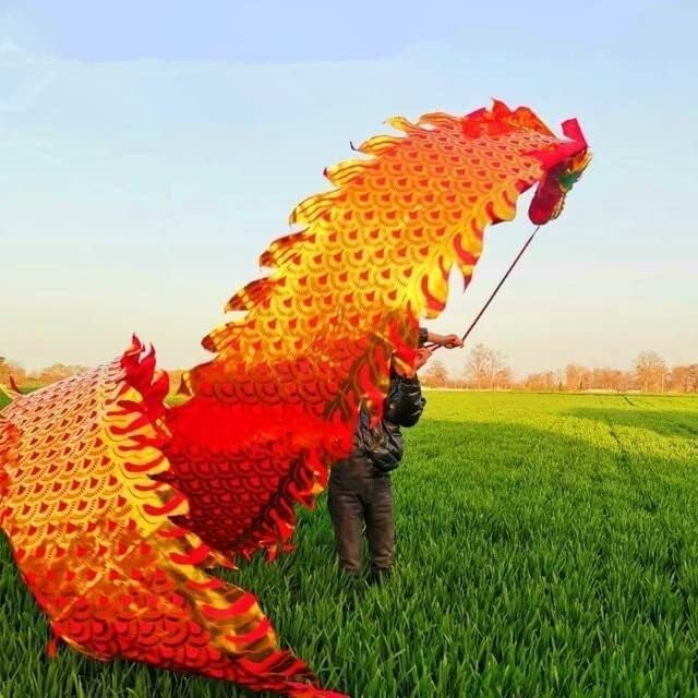 Danse de dragon de soie en plein air pour animer vos défilés du Nouvel An - 4