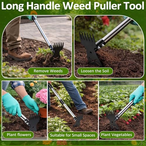 Weed Puller Tool with Long Handle-Vertical Adjustable Weeder, 2-in-1 Garden Hoe and Weeding Rake Combination, Weeding Tool for Garden, Lawn, Farm and Courtyard by Griactrl - Used condition - Image 7