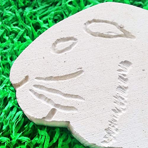 Porcellino d'India Fatto a Mano in Italia in