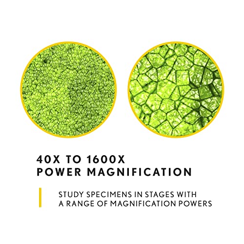 Image of National Geographic 40x-1600x Microscope with USB Eyepiece and Smartphone Adapter