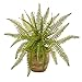 Nearly Natural Mini 10in. Fern Artificial Plant in Ceramic Planter