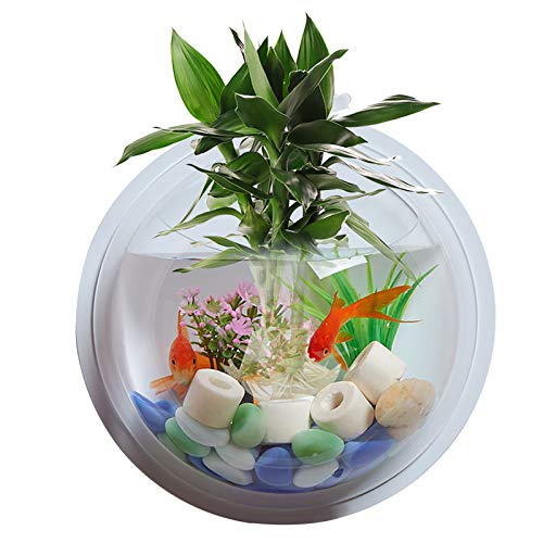 WYYXO Wall-Mounted Fish Tank Transparent Acrylic Hanging Aquarium Hanging Fish Tank Hanging Fish Tank Wall Hanging Fish Bowl for Wall Decoration