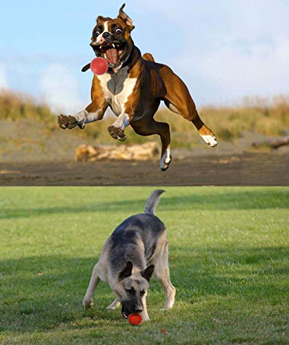 Sunglow-Durable-Dog-Ball-for-Chewing-TrainingTough-Indestructible-Dog-chew-Toy-BallSolid-Rubber-Bouncy-BallCleans-Your-Dogs-Teeth-Improves-Mental-Health