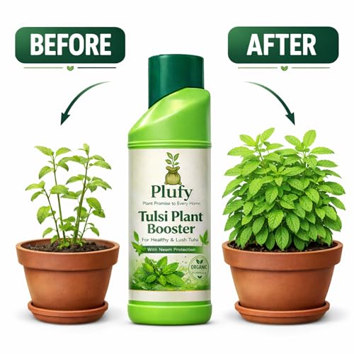 Image of Tulsi Booster - 250 ML, Tulsi plant fertilizer for growth | Organic Holy Basil Plant Food with Balanced Nutrients | Growth Booster for Healthy Leaves, Strong Roots & Fast Growth