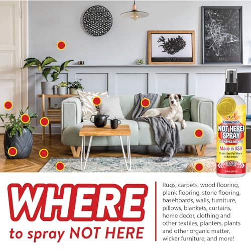 Image of Bodhi Dog Puppy Potty Training Spray System - Teaches Where to Go Potty & Where Not to - Complete Puppy Housebreaking System (Bundle)