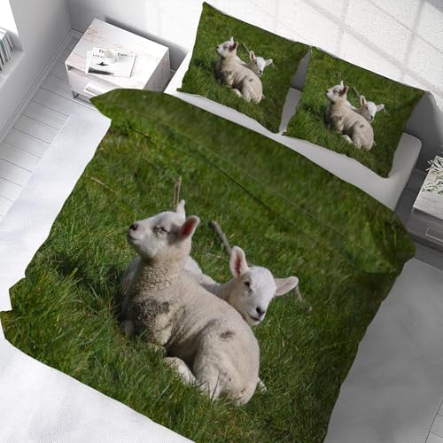 Housse de couette 160x200 en microfibre douce et finitions zip