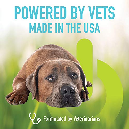 POWER-Animal-Supplements-Made-in-USA-Veterinarian-Formulated-Premium-Quality-Ingredients-Easy-to-Eat-Soft-Chews-for-Cats-and-Dogs-All-Breeds-and-Sizes