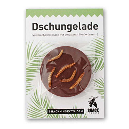 Essbare Insekten Snack-Set: Insektenriegel, Insektenlutscher & Insektenschokolade - Insekten zum Essen von SNACK insects