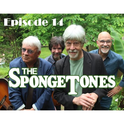 Spotlight on The Spongetones