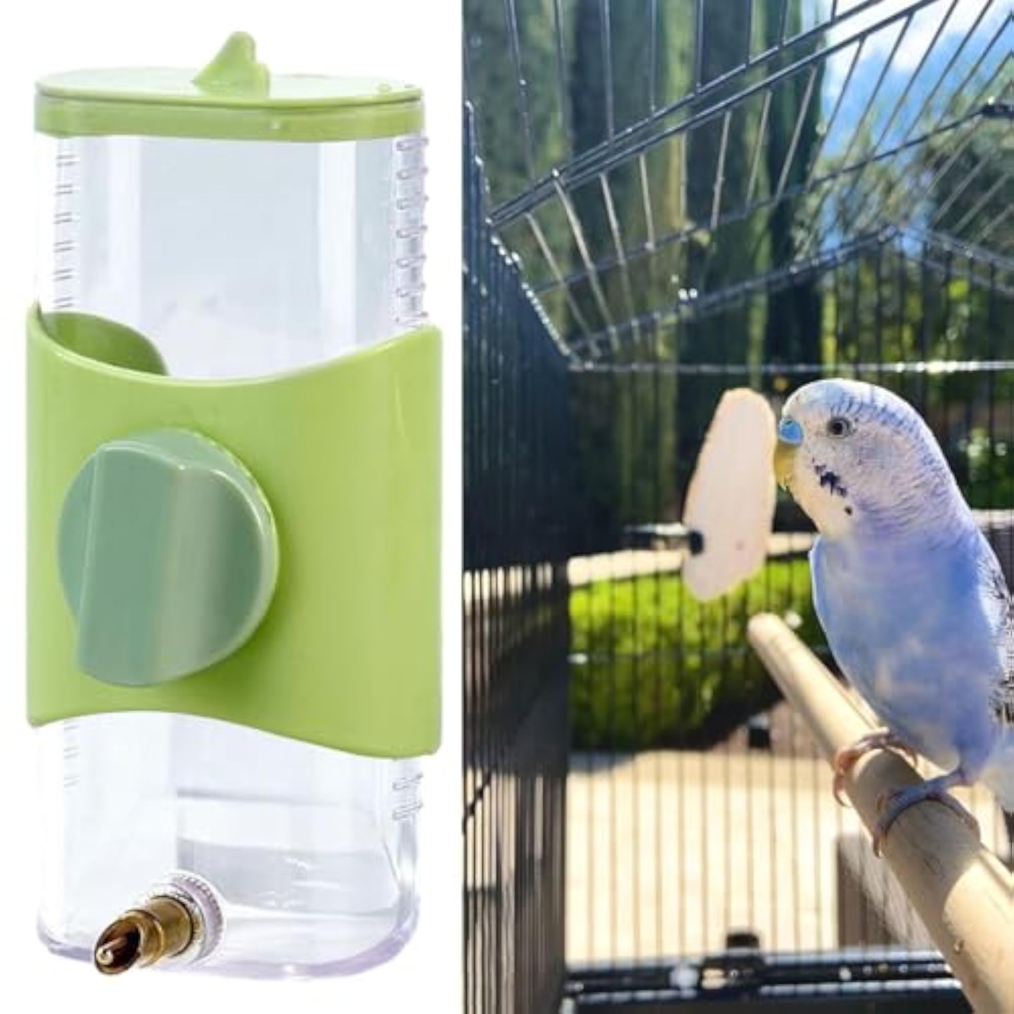 Parrot Waterer Drinking Device for Medium Birds