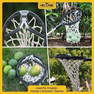 Image of Hectare Mango Picker Head (10-Blade Kit) - Heavy Duty Fruit Harvester Tool with Cushion - Sharp Multi-Blade Design for Fast Harvesting (Pole Not Included)
