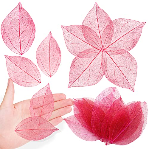 Hojas Esqueletos Secas Rosadas para Resina 42 piezas miniatura 1